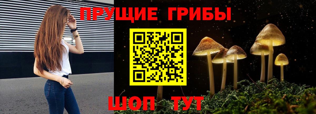 Псилоцибиновые грибы ЛСД Красногорск